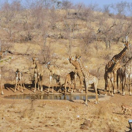 Mbizi Bush Lodge Grietjie Game Reserve Εξωτερικό φωτογραφία
