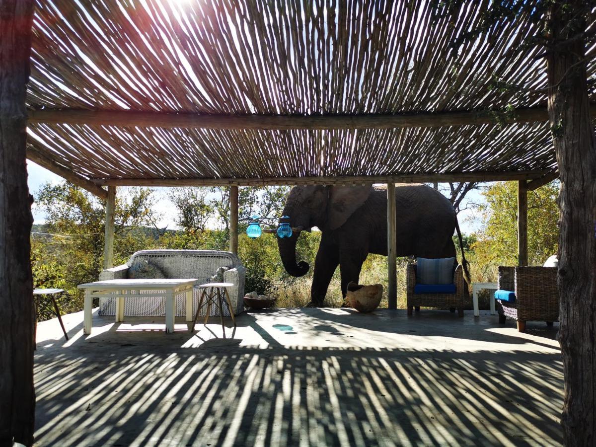 Mbizi Bush Lodge Grietjie Game Reserve Εξωτερικό φωτογραφία