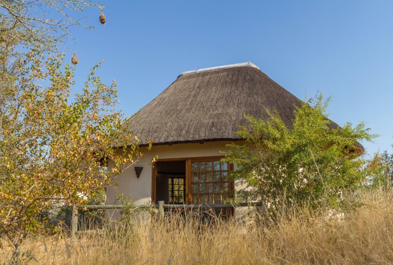 Mbizi Bush Lodge Grietjie Game Reserve Εξωτερικό φωτογραφία